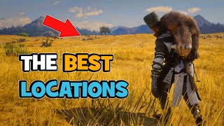 The Best Locations in Red Dead Online for Camp and Moonshiner Shack [upl. by Petrie31]