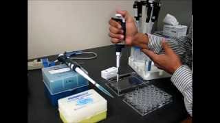 Hanging Drop Protein Crystallization Setup Tutorial and Demonstration [upl. by Lawton]