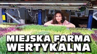 Miejska farma wertykalna na 40 mkw  część 12 [upl. by Ayrotal]