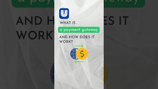 What Is a Payment Gateway and How Does It Work [upl. by Stonwin]