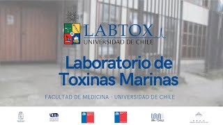 Laboratorio de Toxinas Marinas Facultad de Medicina Universidad de Chile [upl. by Gastineau]