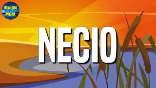 🎵 Reggaeton Romeo Santos – Necio Letras\Lyric Loop 1 Hour [upl. by Clara]