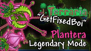 Plantera Boss Fight  Get Fixed Boi Legendary Master Mode  Terraria [upl. by Amalbergas]