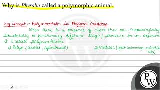 Why is Physalia called a polymorphic animal W [upl. by Paige192]