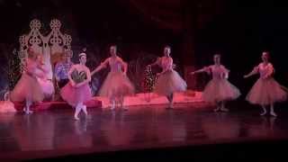 Virginia Regional Ballets The Nutcracker Reel [upl. by Barling642]