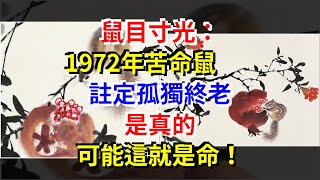 鼠目寸光：1972年苦命鼠，註定孤獨終老，是真的，可能這就是命！，星座運勢大全 [upl. by Ramso]