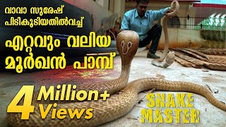 Wow  Vava Suresh rescues Largest Cobra ever  Snakemaster  Latest episode [upl. by Adahsar]