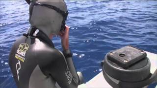 Submerged Freediving Documentary [upl. by Ury]