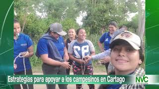 Estrategias para apoyar a los campesinos en Cartago [upl. by Noned]