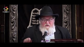 The Costs of Being Zealous  Rabbi Yitzchak Breitowitz [upl. by Dallas932]