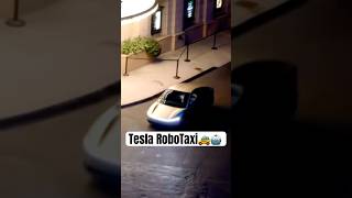 Tesla Unveiled the RoboTaxi and More 😳👀 [upl. by Eelsha]