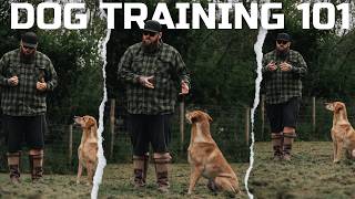 DOG TRAINING 101 How To Teach The Basics [upl. by Bodi]