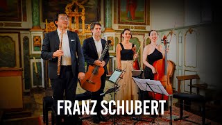 Quatuor pour Flûte Guitare Alto amp Violoncelle  1 Moderato Franz Schubert [upl. by Alvinia]