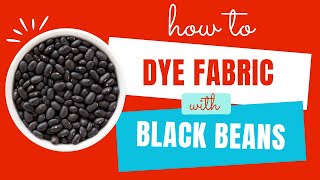 How to dye fabric with black beans AMAZING RESULTS [upl. by Idnahr]