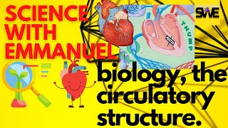 THE CIRCULATORY SYSTEM  GCSE IGCSE AND KCSE BIOLOGY  AQA EDEXCEL CIE OCR WJEC [upl. by May799]