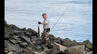 July 2024 Canal Fishing Report [upl. by Pacifica]