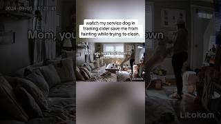 Service dog saves owner from fainting servicedog dogtraining dogs youtubeshorts shorts [upl. by Peddada]