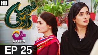 Ghareebzaadi  Episode 25  A Plus ᴴᴰ Drama  Suzzaine Fatima Shakeel Ahmed Ghazala Kaife [upl. by Segroeg64]