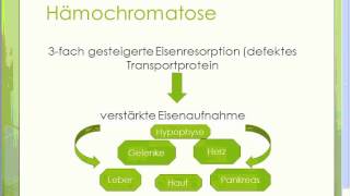 Hämochromatose  Erkrankungen der Leber [upl. by Sankey]