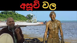 අසූචි වලක ජීවත්වෙන මිනිසුන් කොටසක් ගැන භික්ශුවක් කල අරුමපුදුම හෙලිදරව්වhadapangoda niwathapa thero [upl. by Mide]