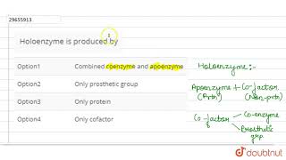 Holoenzyme is produced by [upl. by Sayce]