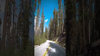 Driving Through Yosemite National Park [upl. by Krilov895]