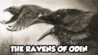 Odins Mythical Ravens  Huginn and Muninn Norse Mythology Explained [upl. by Rolyks]