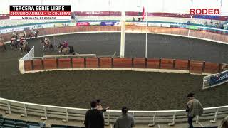 TERCERA SERIE LIBRE  RODEO PROVINCIAL CLUB PUERTO OCTAY ASOCIACION OSORNO [upl. by Nylhtak]