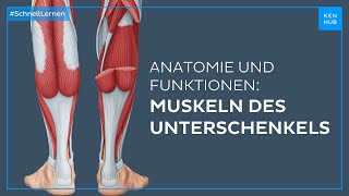 Unterschenkelmuskeln Anatomie und Funktion einfach erklärt  Kenhub [upl. by Erdnaxela]