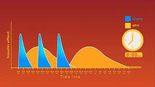 Insulin Regimens animation [upl. by Halimeda951]