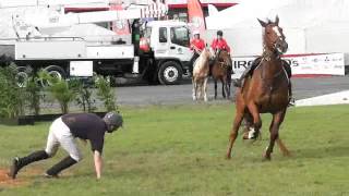 Cairns Show High Jump [upl. by Nywroc425]