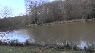 STREAM VALLEY LAKES CROWBOROUGH EAST SUSSEX [upl. by Iew]