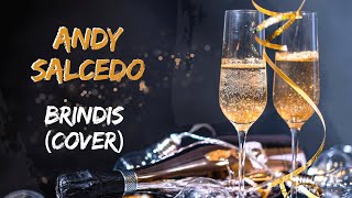 Brindis Cover  Andy Salcedo [upl. by Persas985]