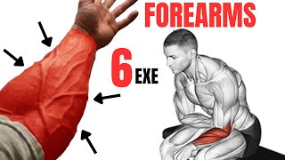 6 BEST FOREARMS EXERCISES AT GYM amp HOME  Extensor  Flexor  Brachioradialis [upl. by Orth958]