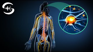 Nervensystem heilen und entspannen erstaunliche Frequenzen [upl. by Hertz155]