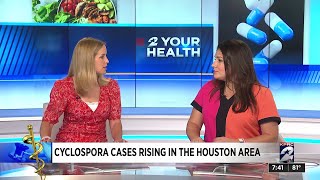 Cyclospora cases rising in the Houston area [upl. by Lorelle]