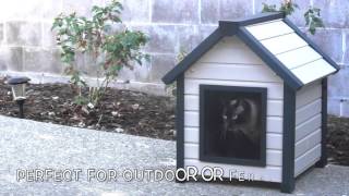 Outdoor Cat House Video [upl. by Elish]