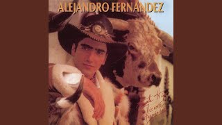 Alejandro Fernández dedicó concierto a niños que perdieron la vida en Texas  Sale el Sol [upl. by Engedus]