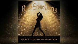 Black Stone Cherry  Whats Love Got To Do With It Official Audio [upl. by Nylcsoj]