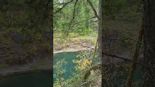 Beautiful BC  Cowichan River [upl. by Ahsiam]