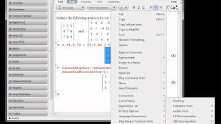 Maple  Matrix elimination [upl. by Solita]