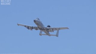 A10 Thunderbolt Warthog in Action  BRRRRRRRRRT [upl. by Lekcar742]