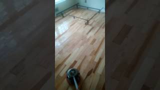 Hardwood Floor Cleaning using Oreck Orbirter [upl. by Bakerman390]