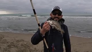 MORMORE si torna a surfcasting [upl. by Scarrow]