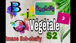 cours de biologie vegetale S2 les thallophytes3eme partie [upl. by Esej]