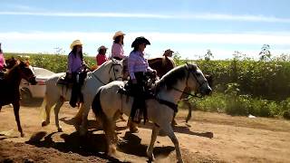 Cabalgata de Mujeres Bellas Amazonas Sonorenses [upl. by Signe]