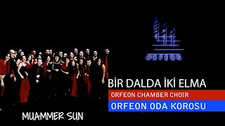 Muammer Sun  Bir Dalda İki Elma Official Audio Video [upl. by Sucramal]