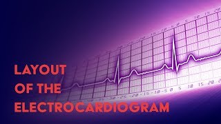 Layout of the Electrocardiogram  How to Read an Electrocardiogram EKG  MEDZCOOL [upl. by Dnalon]