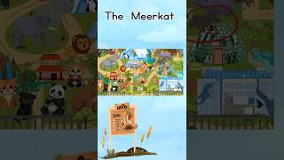 Welcome to the zoo todays animal is The meerkat  zoo animals [upl. by Heller998]