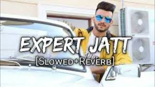 Expert Jatt  Slowed amp Reverb  Mind Relaxing Song  Lofi Songs [upl. by Adnerad]